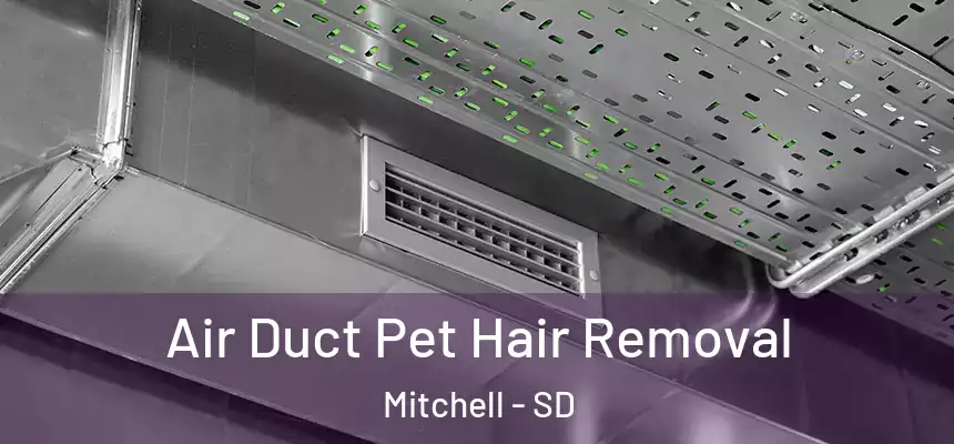  Air Duct Pet Hair Removal Mitchell - SD