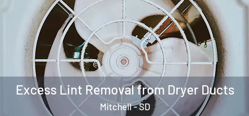 Excess Lint Removal from Dryer Ducts Mitchell - SD