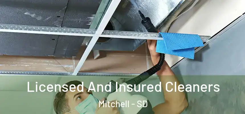  Licensed And Insured Cleaners Mitchell - SD