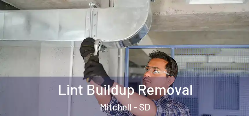  Lint Buildup Removal Mitchell - SD