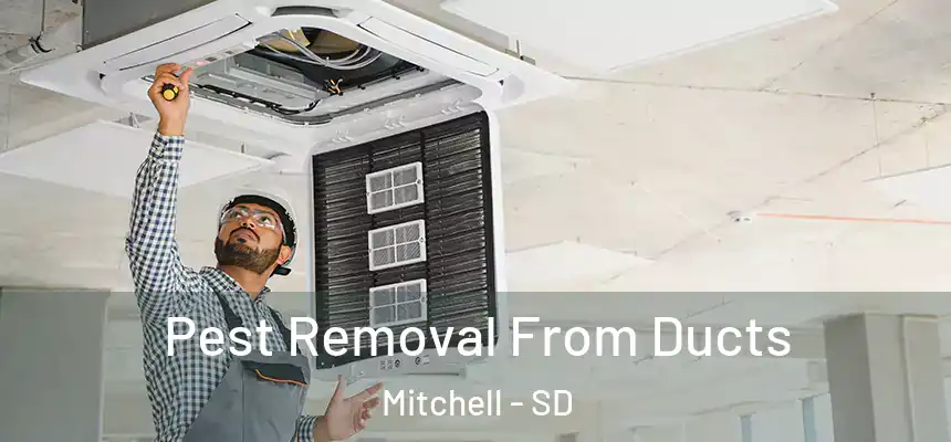  Pest Removal From Ducts Mitchell - SD