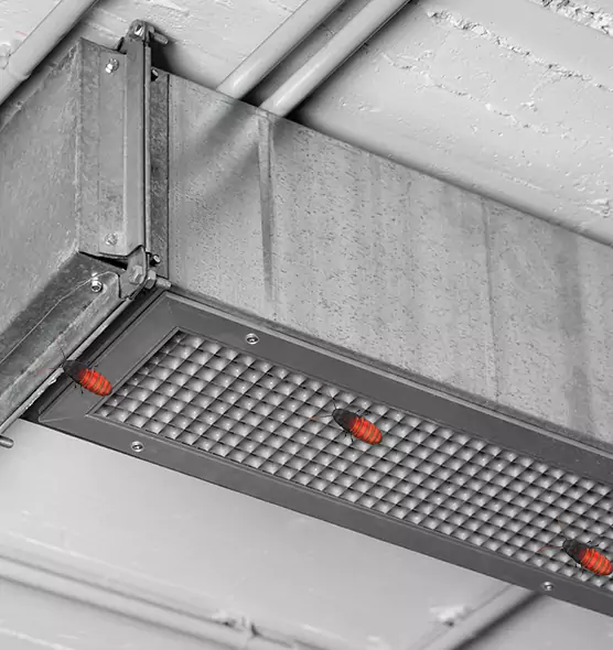 Affordable Insect Removal from Air Ducts in Mitchell, SD