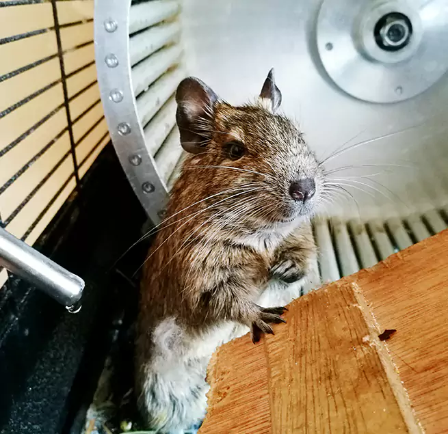 Why Homeowners & Businesses Trust Us Mitchell, SD?